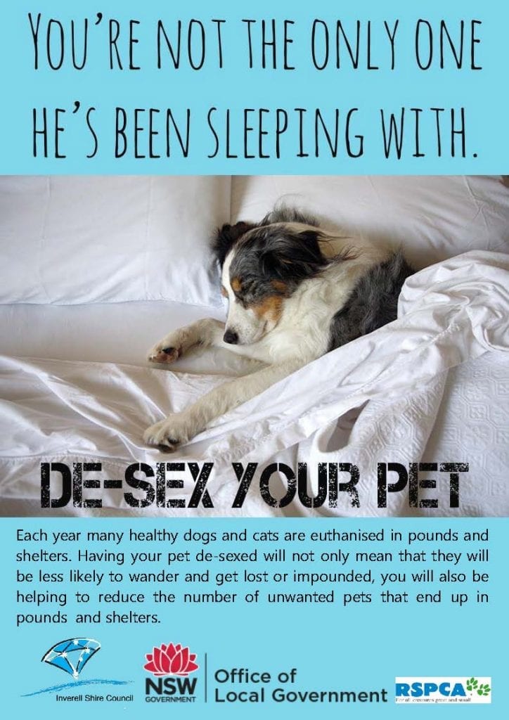 Pet desexing poster