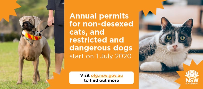 Introduction of annual permits for non-desexed cats and dangerous/restricted dogs