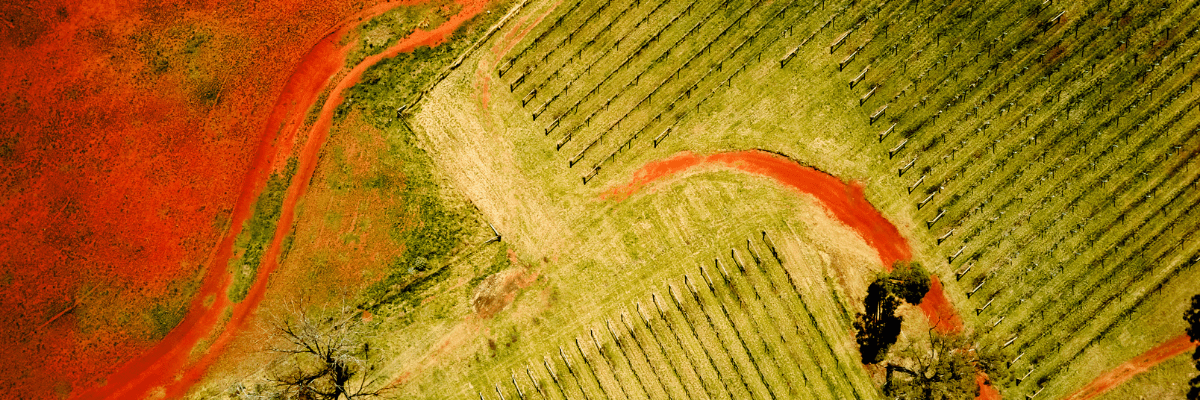 Red Vs Green Landscape