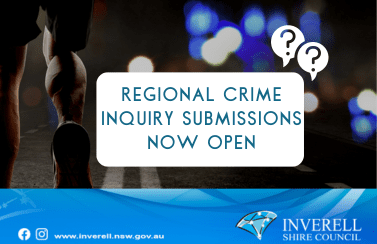 Regional Crime Inquiry